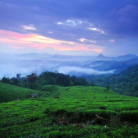 Hotel Violet Woods Munnar Zewnętrze zdjęcie
